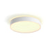 EAN 8718696176450 - Philips Hue White ambiance 4116031P6 Luz de techo inteligente Bluetooth/Zigbee 33,5 W imagen 1