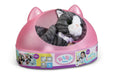 EAN 4001167837580 - BABY born My Cat Cookie with Box Mascota de muñeca imagen 2