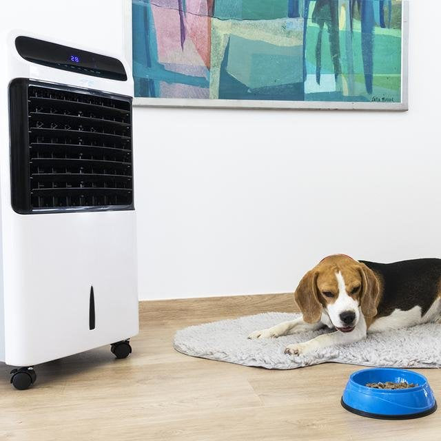 Climatizador Evaporativo Cecotec Energysilence 6500 Con Mando