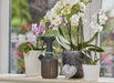 EAN 4078500051118 - Gardena 11112-20 rociador de jardín Pulverizador manual 1 L imagen 5