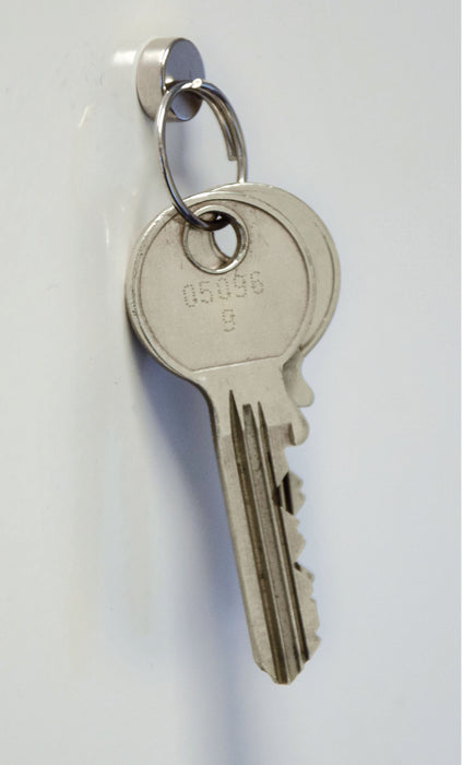 Jakob Maul Gmbh Neodym-Magnet Diámetro 10 X H 3 Mm Nickel Haftkraft Disco - 1
