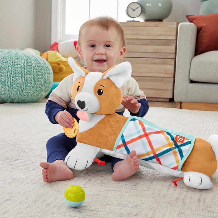 EAN 0194735095896 - Fisher-Price HJW10 juego educativo imagen 2