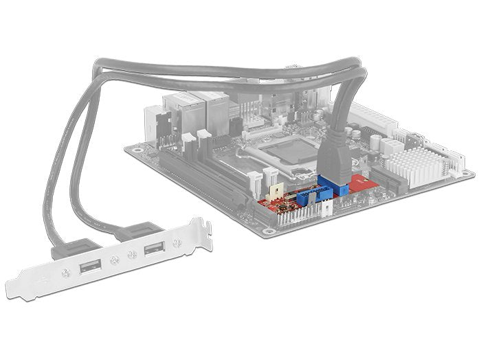 EAN 4043619628438 - DeLOCK 62843 tarjeta y adaptador de interfaz Interno USB 3.2 Gen 1 (3.1 Gen 1) imagen 3