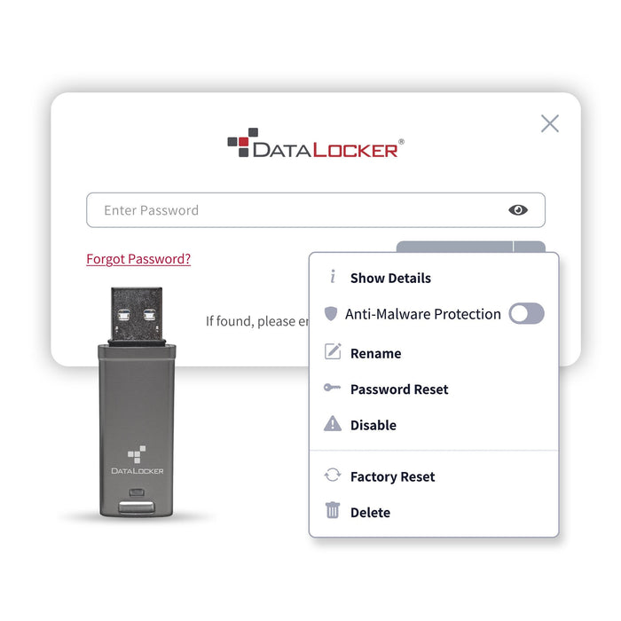 Datalocker Dl Go 256bit - Flash-Memoria - Sin Clasificar Dlgo-004 - Flash-Memoria - Sin Clasificar