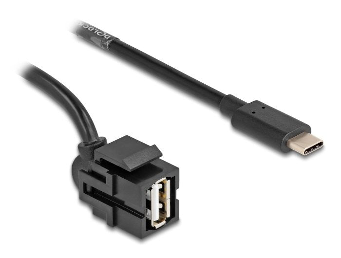 Delock 88056 Módulo Keystone Usb 2.0 A Hembra > Usb Type-C Macho 250° Con Cable 0,5 M