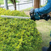 EAN 0088381772280 - Makita DUH506RF corta-setos eléctrico Cuchilla doble 2,9 kg imagen 14