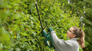 EAN 4059952664729 - Bosch Easy HedgeCut 18-52-13 2,8 kg imagen 6