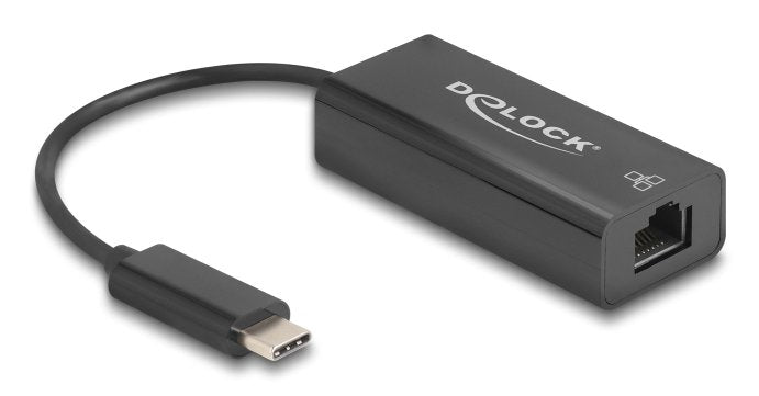 EAN 4043619643066 - DeLOCK 64306 adaptador y tarjeta de red Ethernet 100 Mbit/s imagen 1