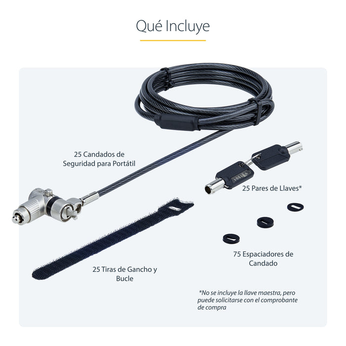 Startech 25-Pack Universal Laptop Lock 6.6ft (2m)