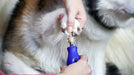 EAN 8710364083114 - Dremel F0137350PA no categorizado imagen 6