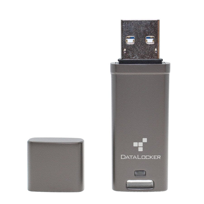 Datalocker Dl Go 256bit - Flash-Memoria - Sin Clasificar Dlgo-004 - Flash-Memoria - Sin Clasificar