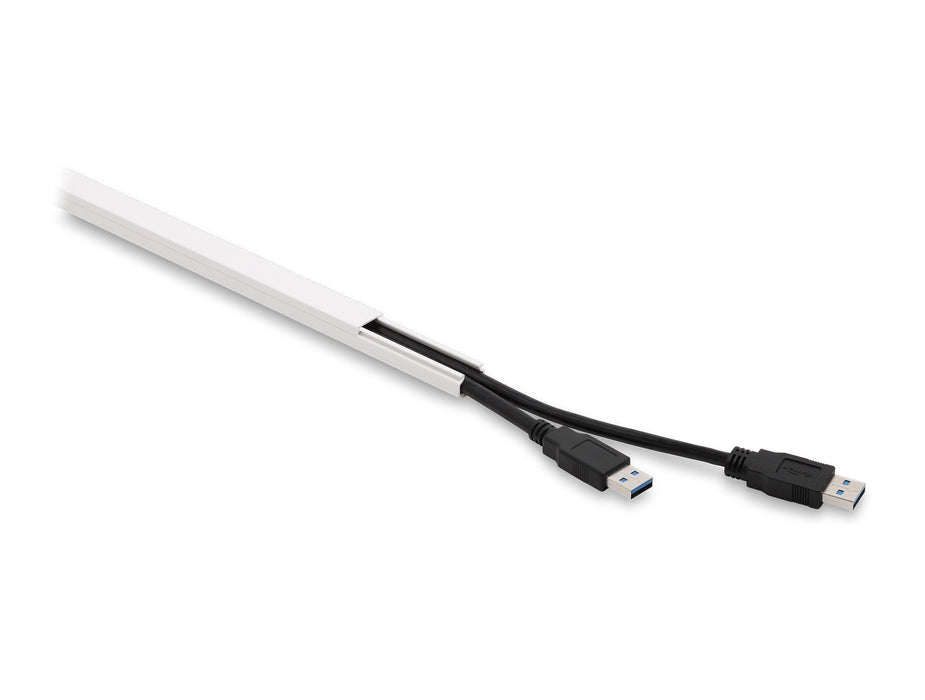Delock Canaleta Para Cables Autoadhesivo Con Schiebedeckel 15 X 10 Mm - Longitud 1 M Pack De 5 Blanco
