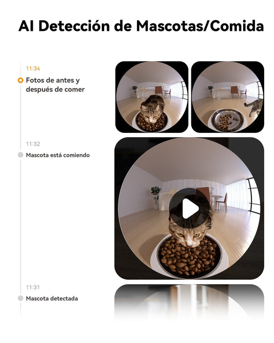 Imou Pf1 4l Video Pet Feeder