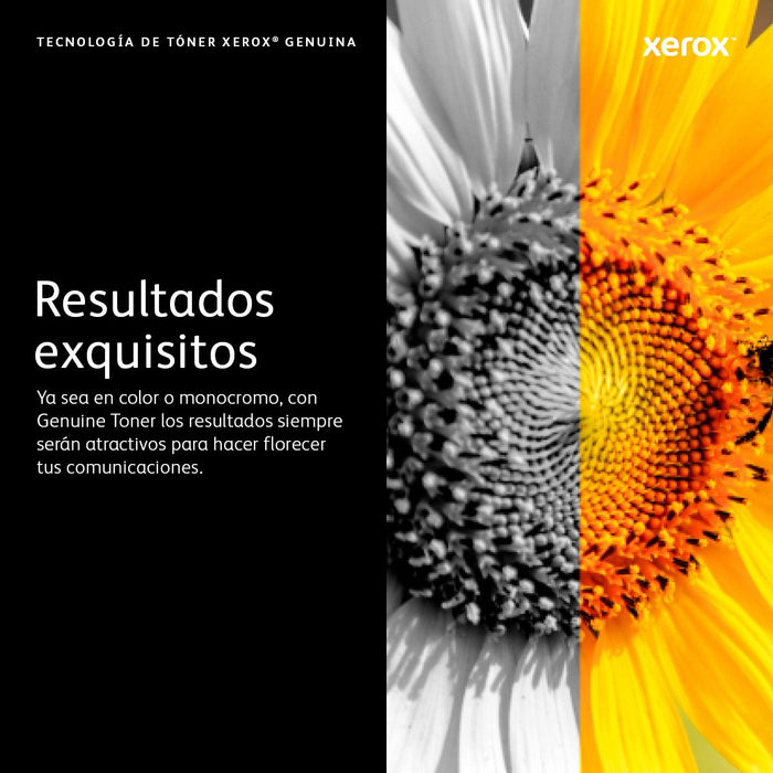 Xerox Toner Dmo B310 B310 Dni Negro Negro (006r04380) (8k)