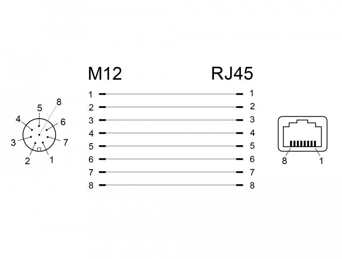 Delock Netzwerkadapter M12 A-Kodiert 8 Pin Buchse Zu Rj45 Buchse