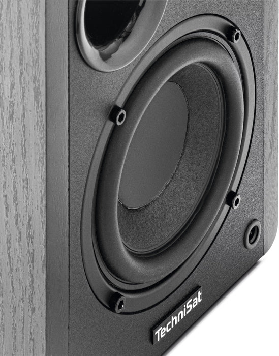 Technisat Audiomaster Rls 1