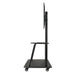 EAN 8433281008427 - TooQ FS20100M-B soporte para monitor 2,54 m (100") Piso Negro imagen 3