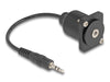 EAN 4043619881505 - DeLOCK 88150 cable de audio 0,2 m 3,5mm imagen 1
