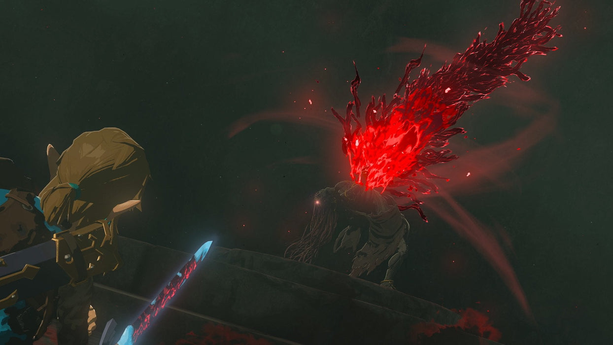 La Leyenda De Zelda: Lágrimas Del Reino (Ns)