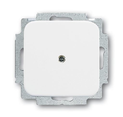 EAN 4011395078006 - Busch-Jaeger 2538-214 Blanco imagen 1