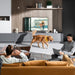 EAN 6970504219663 - Aqara PS-S02D mulltisensor smart home Inalámbrico y alámbrico Wi-Fi imagen 15