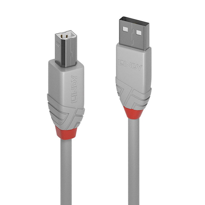 EAN 4002888366816 - Lindy 36681 cable USB USB 2.0 0,5 m USB A USB B Gris imagen 1