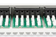 EAN 4016032269021 - Digitus DN-91350-1 panel de parcheo 1U imagen 2