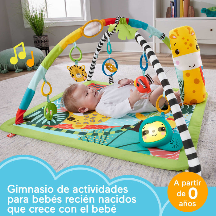 EAN 0194735095919 - Fisher-Price HJW08 gimnasio para bebé y tapete de juego Tela, Plástico Multicolor Manta de juegos para be imagen 11