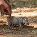 EAN 4055744020827 - schleich Vida Salvaje 14814 figura de juguete para niños imagen 2