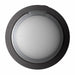 EAN 8806084415837 - LG XBOOM 360 Altavoz monofónico portátil Negro 20 W imagen 4