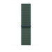 EAN 195949656811 - Apple MXL83ZM/A Accesorios para dispositivos vestibles inteligentes Grupo de rock Verde Nylon, Poliéster,  imagen 1