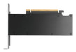 EAN 3536403404116 - PNY RTX PRO 2000 Blackwell NVIDIA 16 GB GDDR7 imagen 2