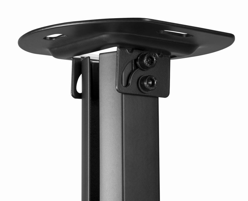 EAN 8716309128070 - Gembird CM-B-01 montaje para projector Techo Negro imagen 8