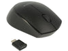 EAN 4043619125265 - DeLOCK 12526 ratón Oficina Ambidextro RF inalámbrico Óptico 1000 DPI imagen 2