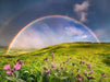 EAN 4005555008002 - Ravensburger 12000800 Puzzle rompecabezas 1500 pieza(s) Otro imagen 2