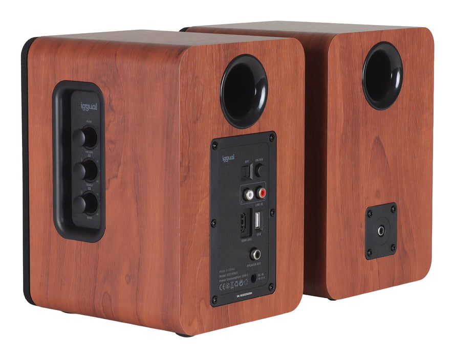 EAN 8435364319963 - iggual IGG319963 altavoz Madera Inalámbrico y alámbrico imagen 9