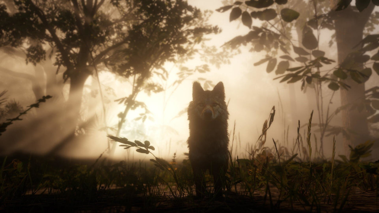 EAN 5026555359023 - Rockstar Games Red Dead Redemption 2 Estándar Xbox One imagen 15