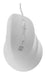 EAN 5901969445886 - NATEC Crake 2 Pro ratón Universal mano derecha USB tipo A Óptico 12800 DPI imagen 1
