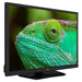EAN 8711902072249 - Lenco LED-2463BK (V2) 61 cm (24") HD Smart TV Wifi Negro 300 cd / m² imagen 3