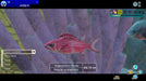 EAN 0045496511869 - Nintendo Endless Ocean Luminous (Switch) Estándar Plurilingüe Nintendo Switch imagen 6
