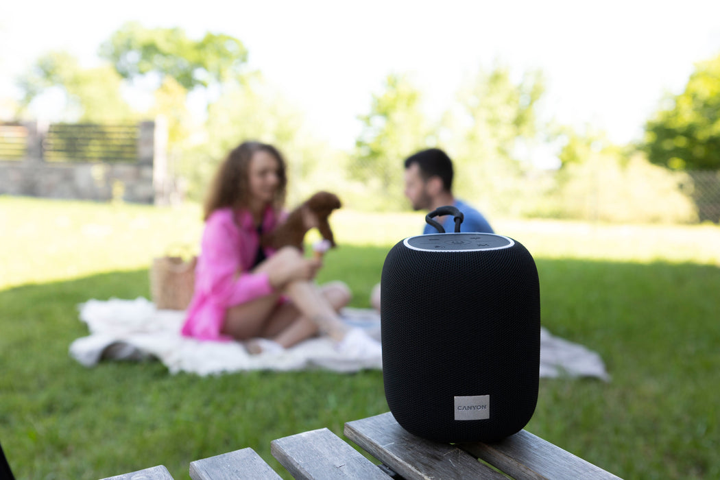 Canyon Bluetooth Speaker Bsp-8 Tf Reader Usb-C 10w Negro Retail