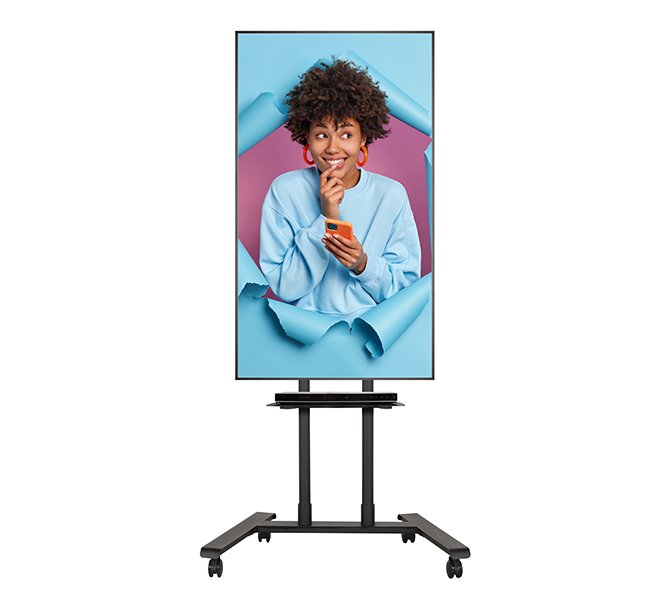 EAN 5019318304699 - B-Tech BT8504 190,5 cm (75") Negro imagen 3