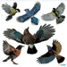 EAN 4008705155397 - HERMA 15539 etiqueta decorativa engomada Película Multicolor Desmontable imagen 2