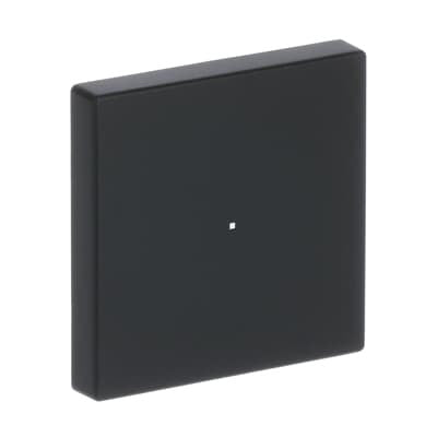Busch Jaeger Bj 6230-10-885 Wippe 1f Schwarz Matt Busch-Free@Home Future Linear