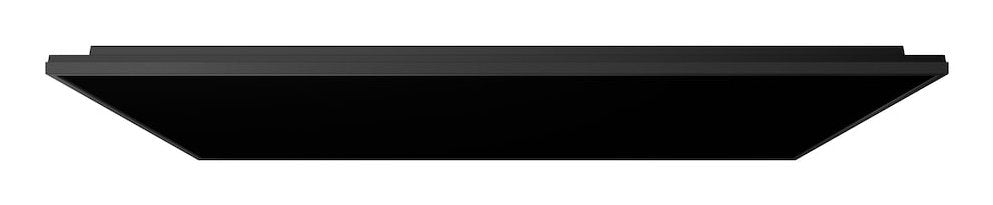 Sony 65" Pro Bravia 700nit Dbng Premium Display