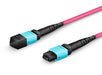 EAN 5704174871040 - Lanview LVO230410-MTP Cable de fibra óptica e InfiniBand 10 m Violeta imagen 2