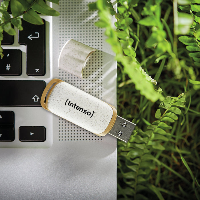 EAN 4034303032792 - Intenso SUPER SPEED USB 3.2 32GB (TYPE A) - 32 GB unidad flash USB USB tipo A 3.2 Gen 1 (3.1 Gen 1) Beige imagen 5
