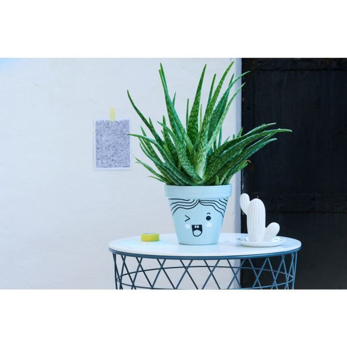 Edding 750 - Negro - Marrón - Oro - Verde - Naranja - Rosa - Rojo - Plata - Violeta - Amarillo