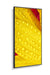 EAN 5028695127470 - NEC MultiSync M501-2 Diseño de quiosco 127 cm (50") LED 4K Ultra HD Negro Procesador incorporado imagen 12