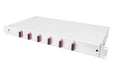 EAN 4016032343813 - Digitus DN-96320-4 accesorio de bastidor imagen 3
